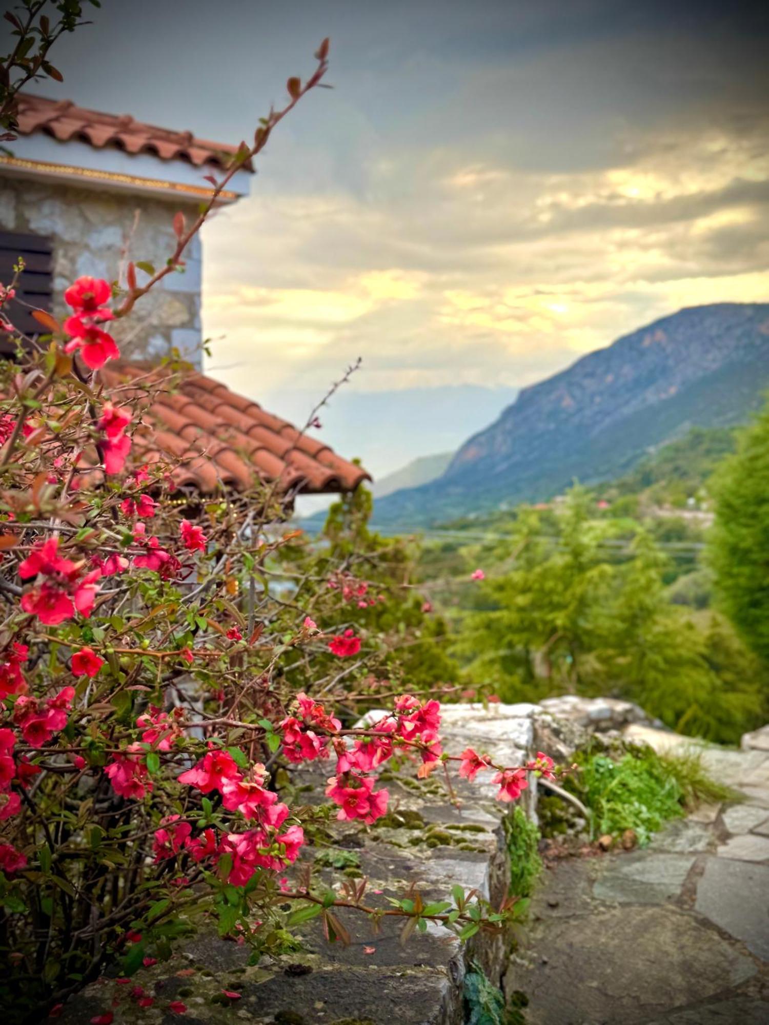 Rock Dandy Deluxe In - Delphi, Sauna, Prv Parking, Amazing View Chalet Arachova